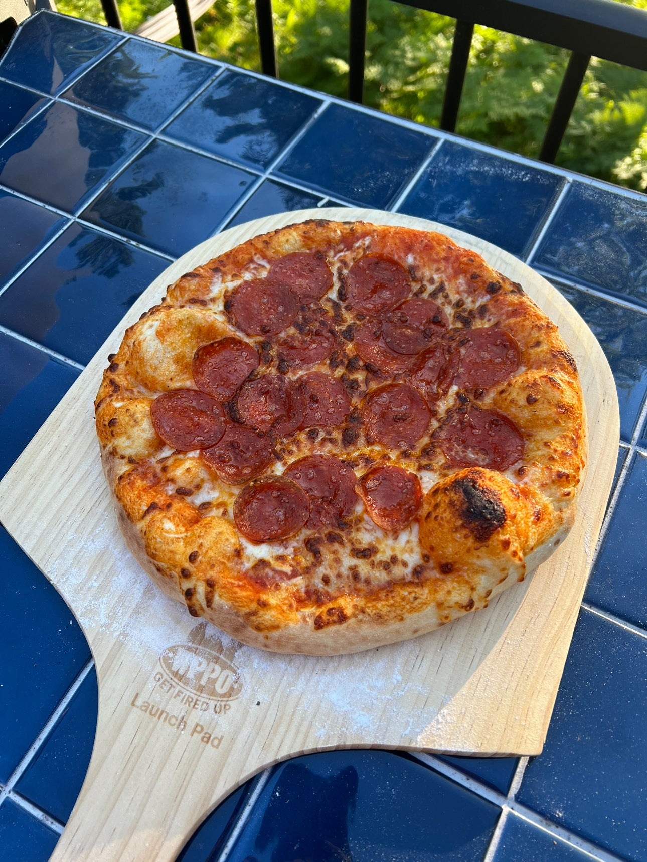 Easy Sourdough Pizza Crust