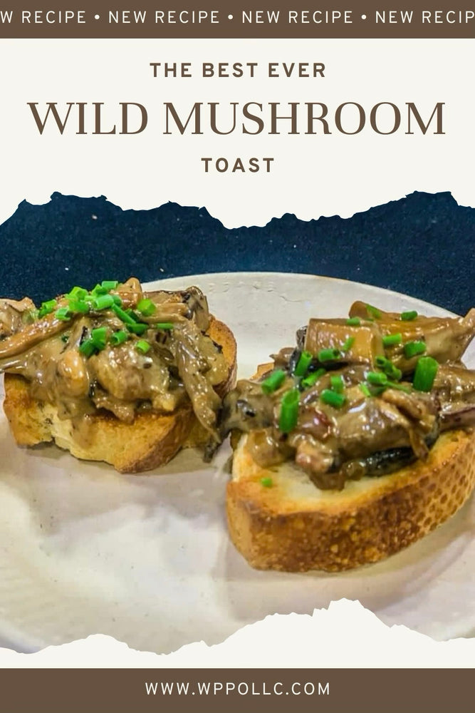 Wild Mushroom Toast