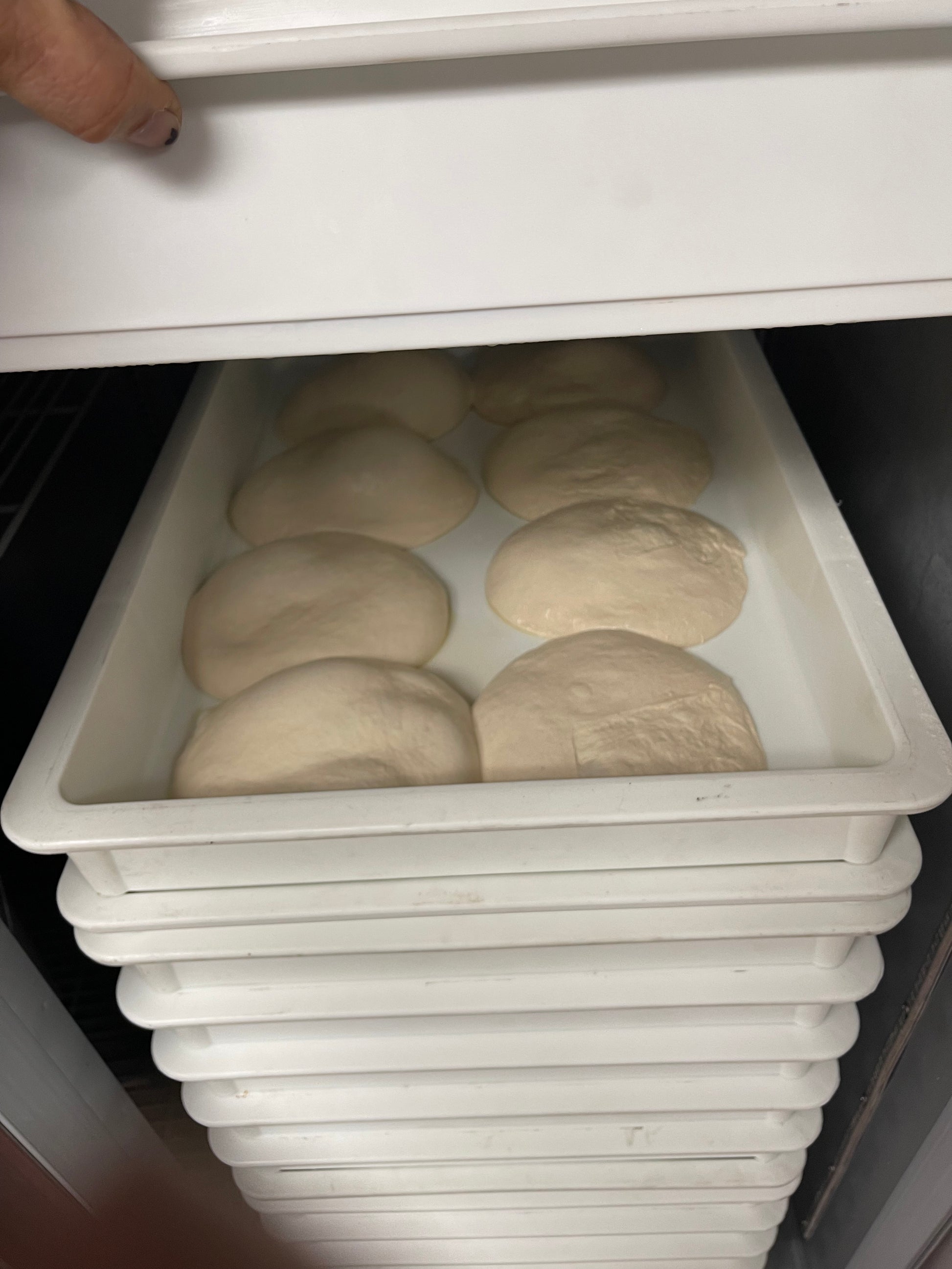 Pizza Making 101 - Class Jan 17th WPPO - WPPO LLC Direct